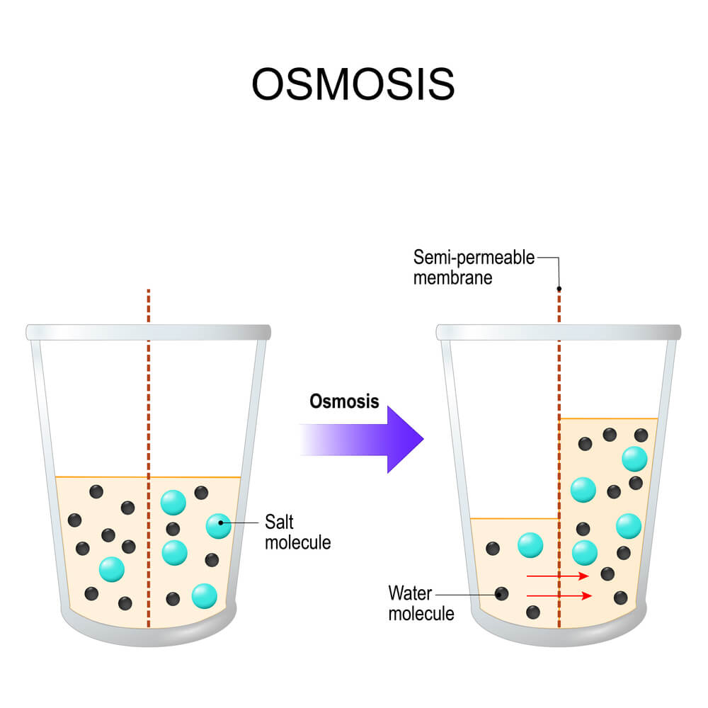 osmotic power in practice